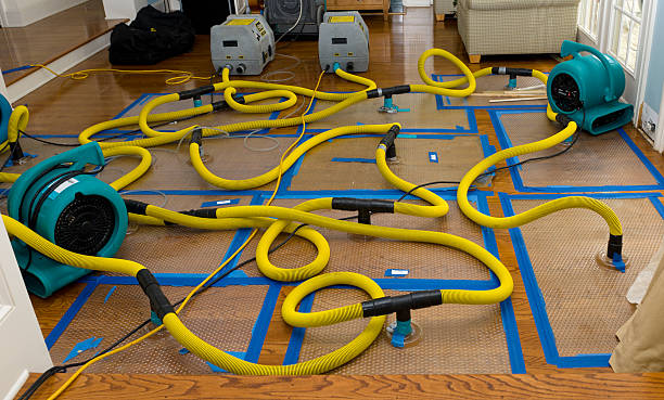 Professional Sewage Cleanup technician working in Martin, OH